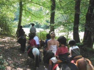  在奥林附近的森林中骑马 